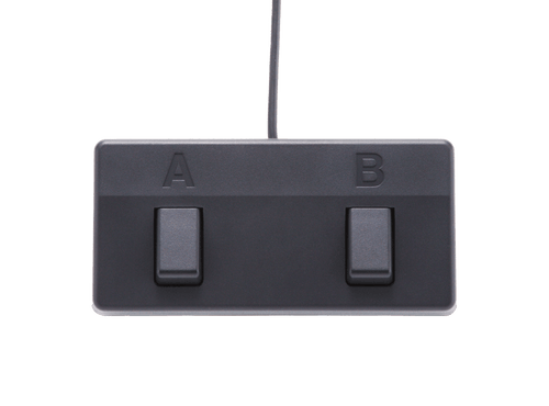 BOSS ACS Live | Amplificador Acoustic Singer Live de 60-watt para violão e voz com efeitos 110V