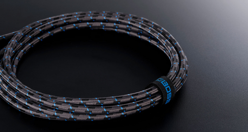 BOSS BIC-10 | Cabo P10 x P10 de 3 Metros