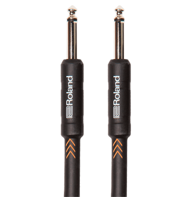 Roland RIC-B10 | Cabo de 3 Metros