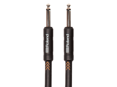 Roland RIC-B10 | Cabo de 3 Metros